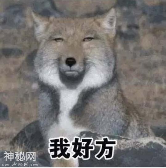 Ц̵ϳȵĶ-2.jpg