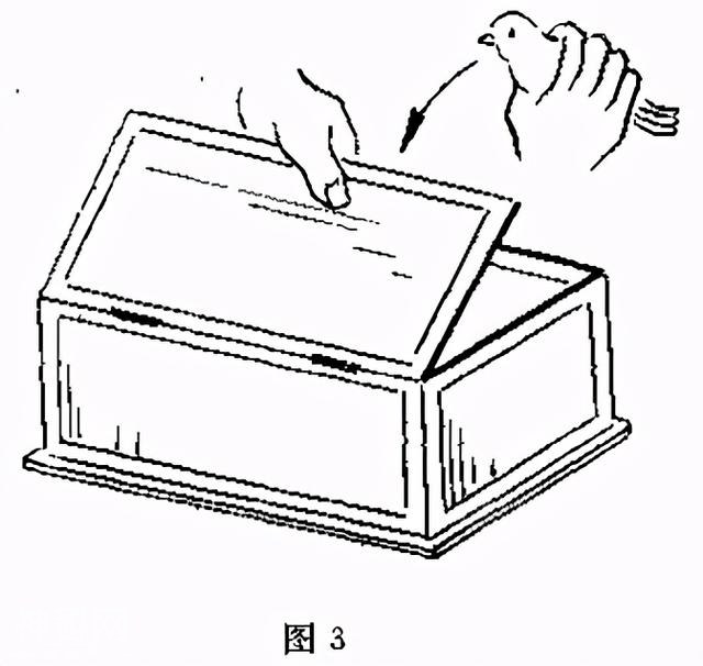魔术：当众放进纸盒的白鸽，怎么瞬间变没呢？关键在自制道具上-3.jpg