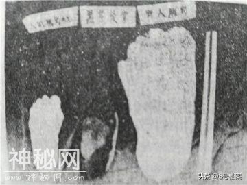 Xun悟空的猴子猴孙？神农架发现巨大”类人“野人-4.jpg