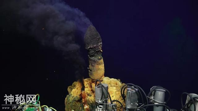 进入1800米海底，发现前所未有的生物，刷新对外星生命认知-3.jpg