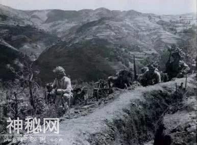 老兵回忆野人山的恐怖：三万人进去三千人出来，为了生存尿都要喝-5.jpg