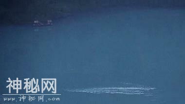 盘点世界8大“水怪”！看得人身体发凉！-6.jpg