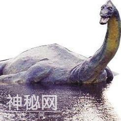 盘点世界8大“水怪”！看得人身体发凉！-7.jpg