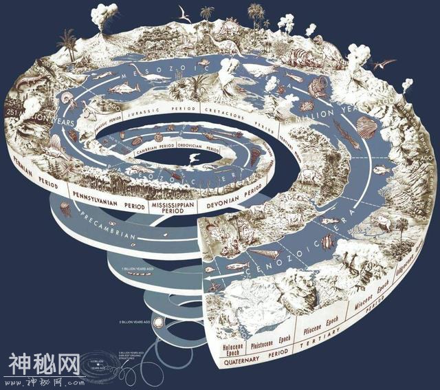 美国海滩发现神秘“生物”，没有眼睛，看似像狗，科学暂无解释-1.jpg