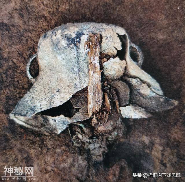 盗墓中发现的特殊葬俗，有的挺怕人，死者的头用“大锅”套起来-6.jpg