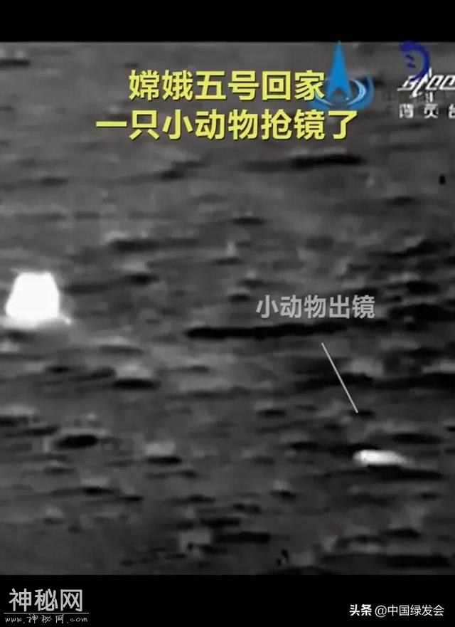 嫦娥五号回内蒙古了！出镜的未知生物是啥？-2.jpg