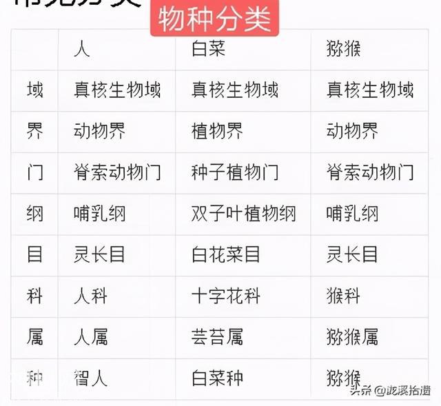 神农架有野人吗？你所不知道的那些人类成员们-9.jpg