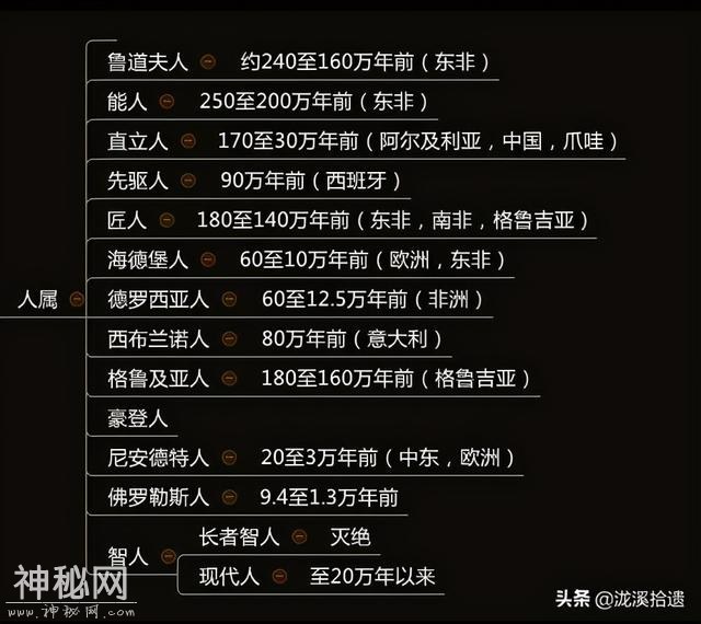 神农架有野人吗？你所不知道的那些人类成员们-14.jpg