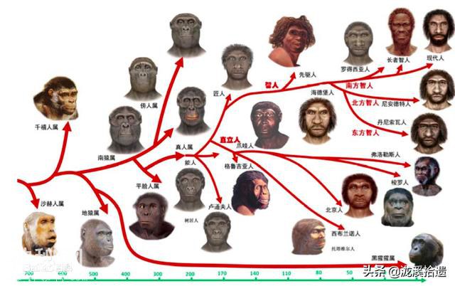 神农架有野人吗？你所不知道的那些人类成员们-18.jpg