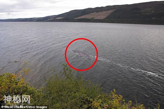 英国游客拍到“尼斯湖水怪”史上最清晰照片，能分辨是什么动物？-1.jpg