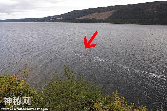 英国游客拍到“尼斯湖水怪”史上最清晰照片，能分辨是什么动物？-3.jpg