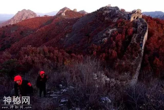 都说地质界太难混了，看完这个我信了-11.jpg