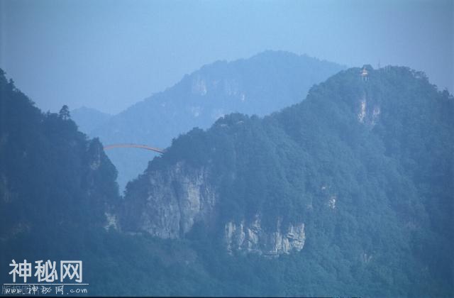 神农架?-?野人在出没-5.jpg