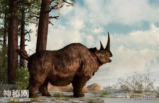 科学家发现未知生物，或是1.8万年的王者，胃里藏着巨型披毛犀-3.jpg