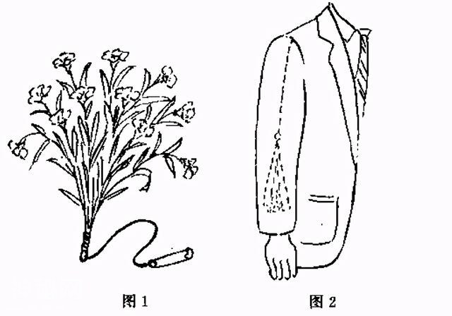 魔术：男子向美女献花，变来变去弄得美女眼花缭乱，最后为何笑了-3.jpg