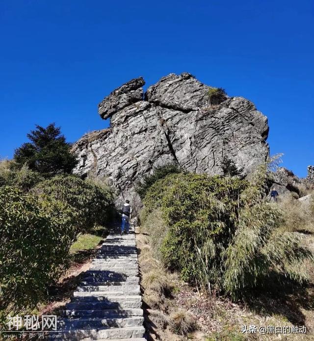 乘着高铁游湖北，第五站：神农架，炎帝采药的地方真的有野人吗？-36.jpg