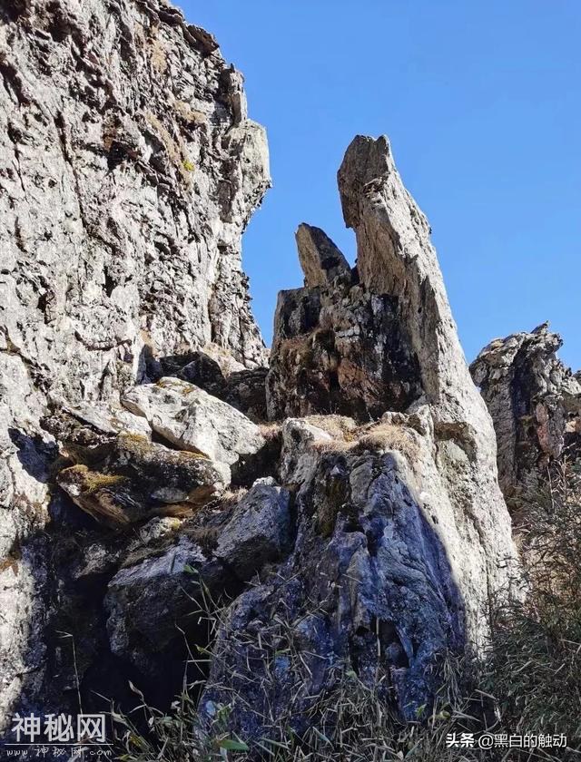 乘着高铁游湖北，第五站：神农架，炎帝采药的地方真的有野人吗？-41.jpg