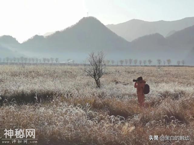 乘着高铁游湖北，第五站：神农架，炎帝采药的地方真的有野人吗？-45.jpg