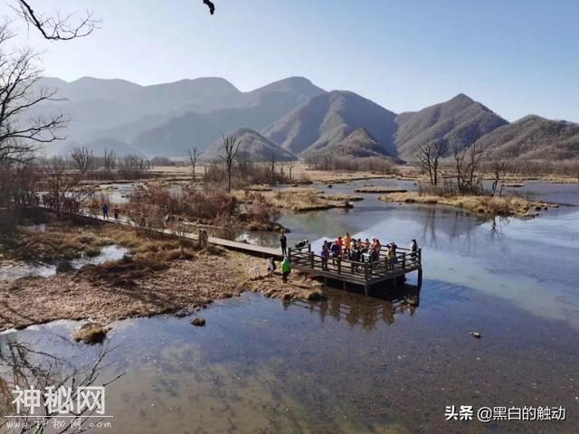 乘着高铁游湖北，第五站：神农架，炎帝采药的地方真的有野人吗？-46.jpg