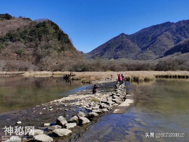 乘着高铁游湖北，第五站：神农架，炎帝采药的地方真的有野人吗？-83.jpg