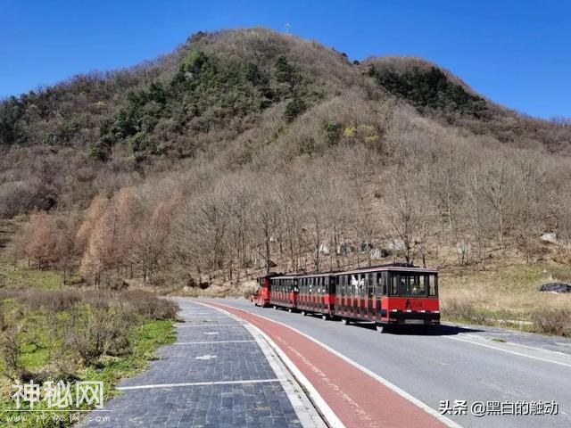 乘着高铁游湖北，第五站：神农架，炎帝采药的地方真的有野人吗？-81.jpg