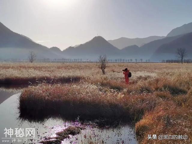 乘着高铁游湖北，第五站：神农架，炎帝采药的地方真的有野人吗？-91.jpg