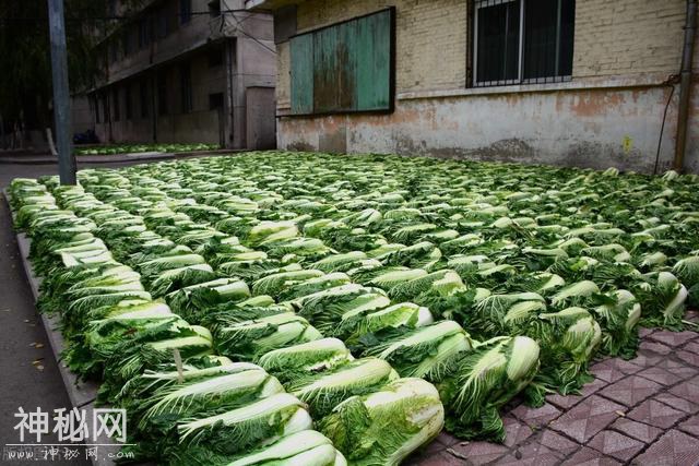 冬季“花式炫富”大比拼，有人晒腊肉，有人晒白菜，你们家晒点啥-4.jpg