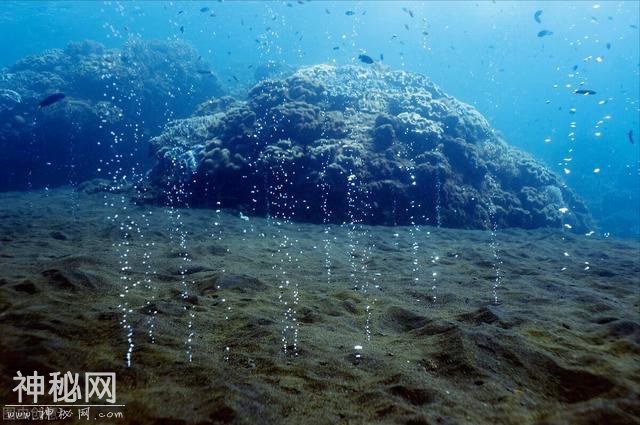 土卫二冰下海洋是否真有生命？美专家：很可能存在巨型未知生物-6.jpg