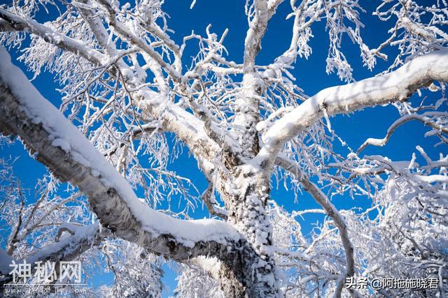 东北不仅有雪乡，在凤凰山遇冰雪仙境，还体验原汁原味的东北民俗-26.jpg