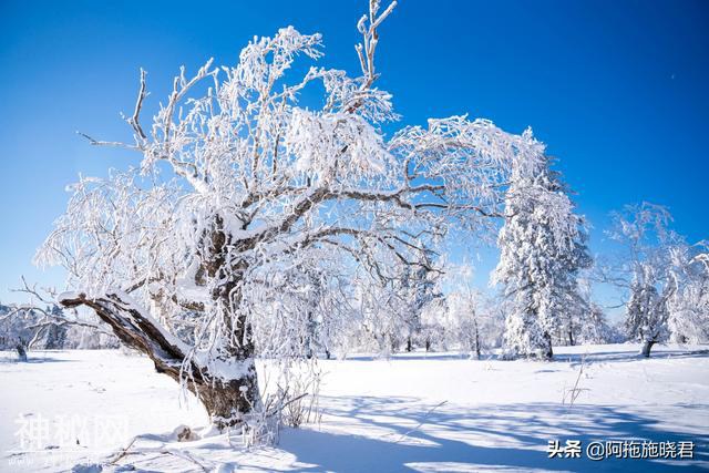 东北不仅有雪乡，在凤凰山遇冰雪仙境，还体验原汁原味的东北民俗-29.jpg