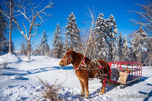 东北不仅有雪乡，在凤凰山遇冰雪仙境，还体验原汁原味的东北民俗-32.jpg