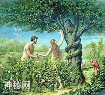 国际新闻or笑话合集？2020，这些国家在认真搞笑-24.jpg