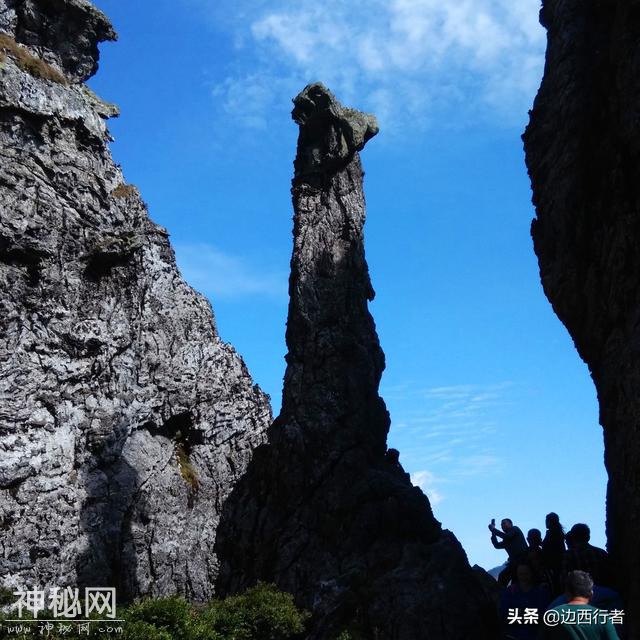 神农架因野人出名，其实哪里有什么野人，只有郁郁葱葱的高山丛林-4.jpg