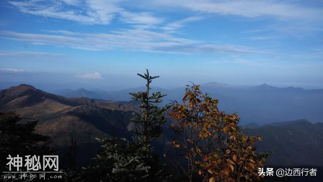 神农架因野人出名，其实哪里有什么野人，只有郁郁葱葱的高山丛林-11.jpg