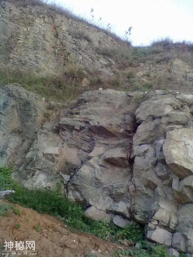地质构造与矿物的成因-1.jpg