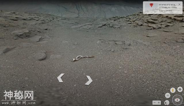 南极洲发现“史前野兽”？神秘生物骨架暴露在外，可能约有6米长-4.jpg