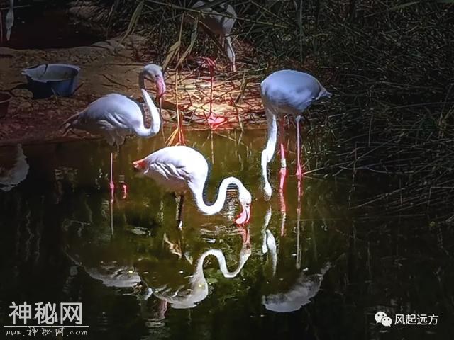 2019我的旅游年——1月自驾南非（5）-13.jpg