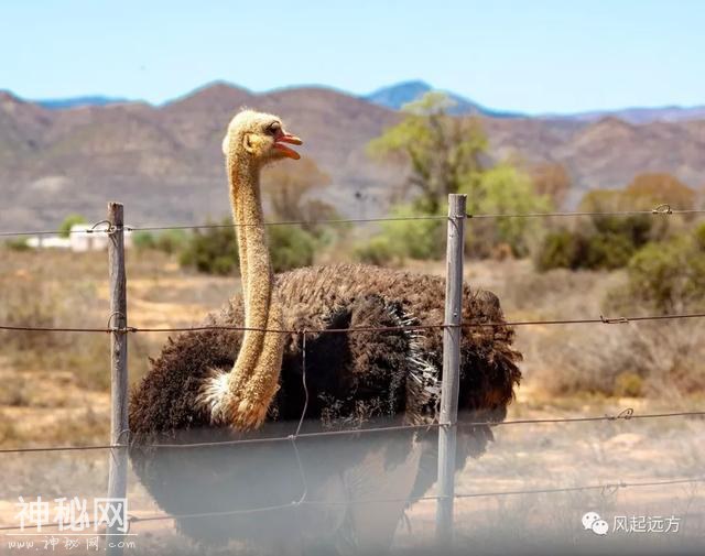 2019我的旅游年——1月自驾南非（5）-17.jpg