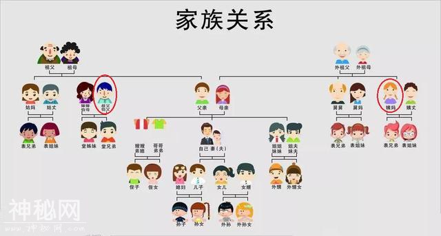奇美拉现象 - 你身体中可能存在着另一个人？-4.jpg