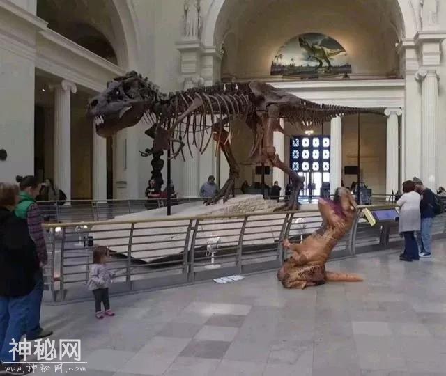 搞笑段子大合集，笑的停不下来！-2.jpg