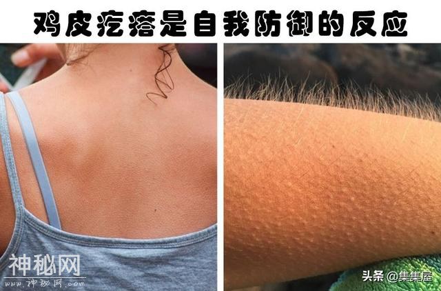 科学解释：我们身体会经历的6种身体反应的科学解释-1.jpg