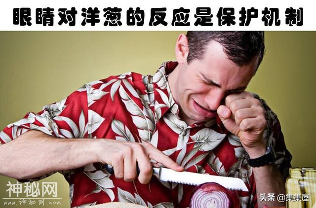 科学解释：我们身体会经历的6种身体反应的科学解释-5.jpg
