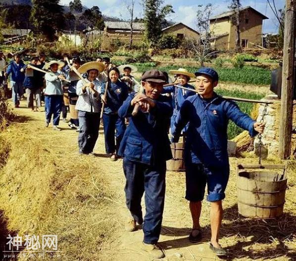 他是“三峡奇人”，不吃饭只吃草，34年吃了40吨，妻子无奈已离开-6.jpg