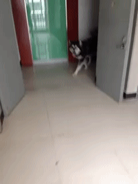 搞笑合集：媳妇，你能不能换一张面具，这样我毫无心情啦-12.jpg