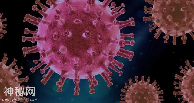 《自然》论文：2020年，美国已有超过1亿人感染新冠病毒-1.jpg