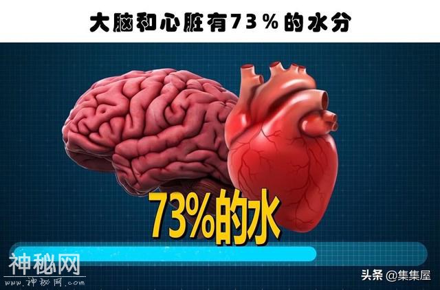 近些年来，科学家们所发现的10个关于人体的有趣事实-2.jpg