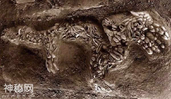 辽太祖是否杀过真龙？专家挖开8000年前古墓，为墓中文物提供佐证-4.jpg