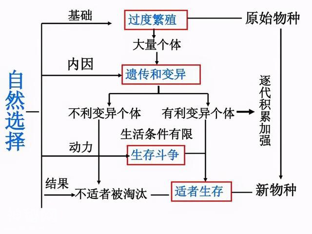 为什么大多数雄性动物的排泄和交配，共用同一个器官？-8.jpg