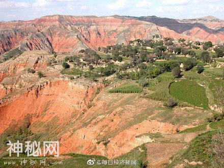 科学家在中国发现最大陆地哺乳动物巨犀，曾穿越青藏高原迁徙扩散-4.jpg