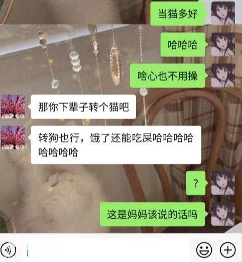 来一波搞笑对话，笑起来哈哈哈-2.jpg